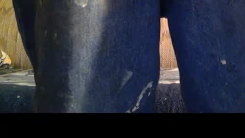 love69bush online show from 02-08-26, 04:16