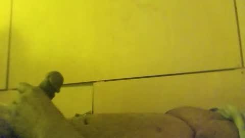 lovebignip online show from 02-24-26, 11:41