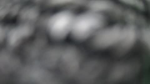 Snapshot of lovelength99 chatting on 06-13-26, 09:40 lovelength99 online show from 06-13-26, 09:40