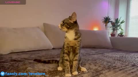 Elsa online show from 10-22-25, 11:54