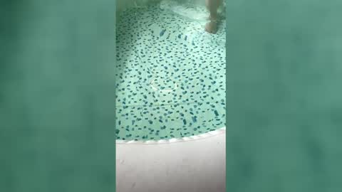 Snapshot of lovelyladyflaccid chatting on 05-31-26, 06:09 lovelyladyflaccid online show from 05-31-26, 06:09