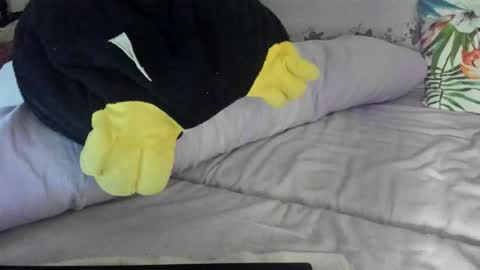 Snapshot of lovelywoman23 chatting on 11-17-25, 06:24 lovelywoman23 online show from 11-17-25, 06:24