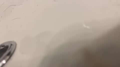 Snapshot of lovetoplayinmnwithu chatting on 01-30-25, 11:34 lovetoplayinmnwithu online show from 01-30-25, 11:34