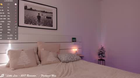    .       online show from 01-03-25, 01:14