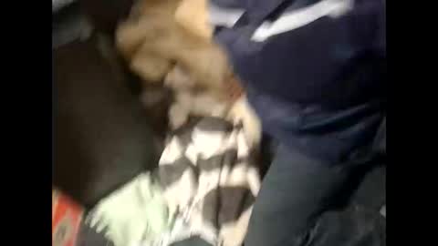 Lshot D online show from 11-28-25, 08:00