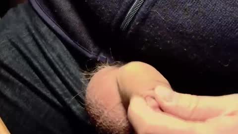 Lt645 online show from 12-07-24, 08:11