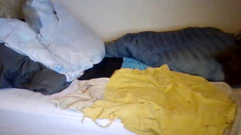 Snapshot of lu485947452685 chatting on 12-19-25, 06:48 lu485947452685 online show from 12-19-25, 06:48