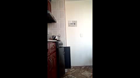 luana363 online show from 02-10-26, 03:27