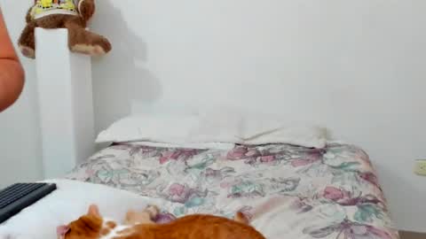 Snapshot of luara__01__lecat_1 chatting on 02-11-26, 10:53 luara__01__lecat_1 online show from 02-11-26, 10:53