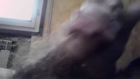 lucafava90 online show from 01-04-25, 09:32