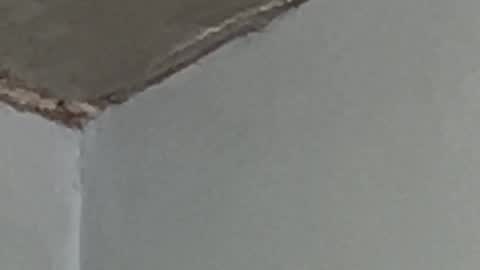 Snapshot of lucifermorningstar94 chatting on 09-17-25, 02:57 Lucien online show from 09-17-25, 02:57