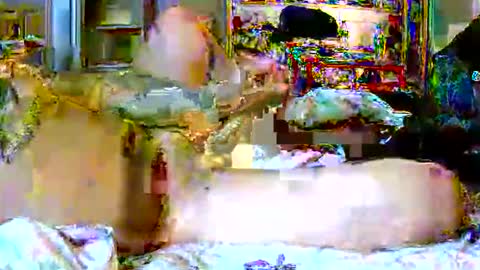 lucky134u online show from 04-09-26, 02:55