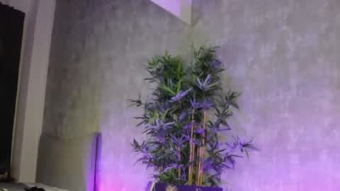 Snapshot of lucyrayy chatting on 02-04-26, 10:58 lucyrayy online show from 02-04-26, 10:58