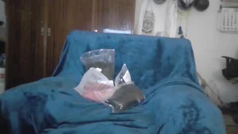 Snapshot of luis2423 chatting on 02-22-26, 11:14 A slave to the mistress.. un esclavo para las amas dominantes. online show from 02-22-26, 11:14