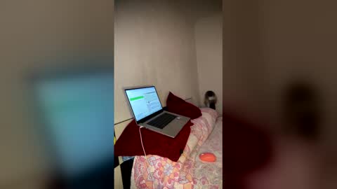 Snapshot of luisamonsterdick chatting on 02-23-26, 11:57 Luisa Monsters online show from 02-23-26, 11:57