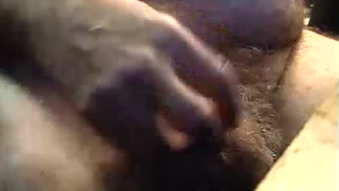 lukestarfckr online show from 09-11-25, 09:20