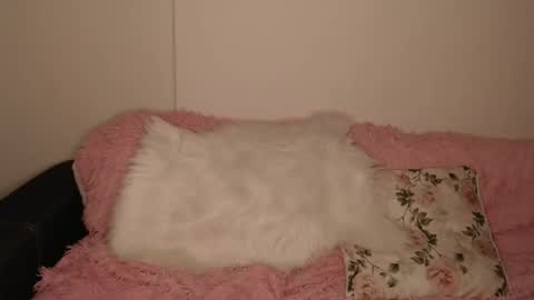 Luna online show from 02-13-26, 06:15