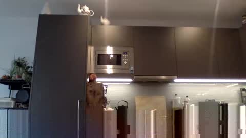 Snapshot of lupine_666 chatting on 12-12-24, 10:56 Lupine online show from 12-12-24, 10:56