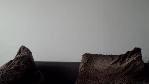 Snapshot of lupine_666 chatting on 01-05-25, 10:32 Lupine online show from 01-05-25, 10:32