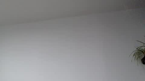 Snapshot of lupine_666 chatting on 09-17-25, 08:38 Lupine online show from 09-17-25, 08:38