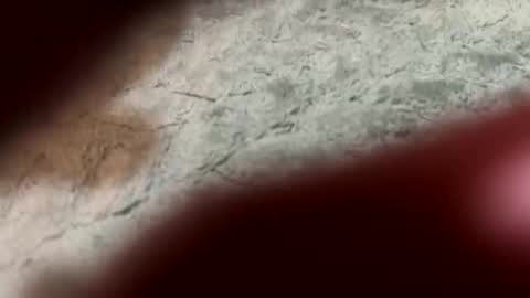 Snapshot of lust_4_daze chatting on 02-13-26, 07:21 lust_4_daze online show from 02-13-26, 07:21