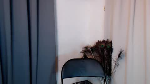 Snapshot of lustyseraphina chatting on 02-20-26, 06:52 lustyseraphina online show from 02-20-26, 06:52