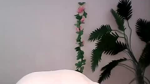 Snapshot of luvu4everxxx chatting on 09-09-25, 01:38 Bee Bee online show from 09-09-25, 01:38