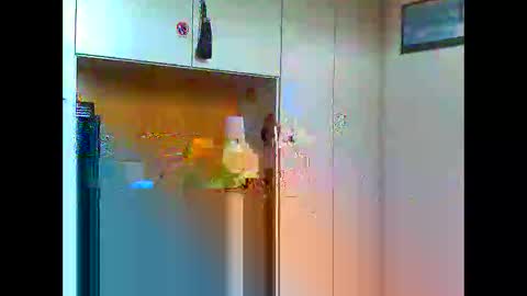 Snapshot of luxx72boy chatting on 01-11-25, 09:47 luxx72boy online show from 01-11-25, 09:47