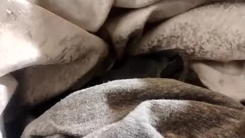 Snapshot of lvacd11 chatting on 01-22-25, 12:38 Lvac11 online show from 01-22-25, 12:38