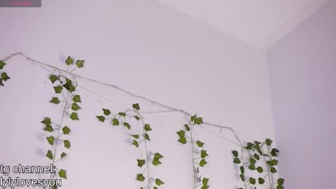 Lyly   online show from 11-24-25, 05:40