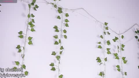 Lyly   online show from 01-13-26, 05:46