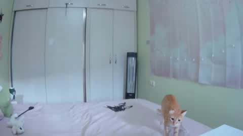 Kira online show from 10-10-25, 10:36
