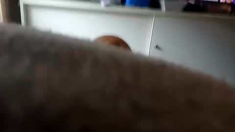 Snapshot of mace141414 chatting on 09-26-25, 09:41 MACE online show from 09-26-25, 09:41