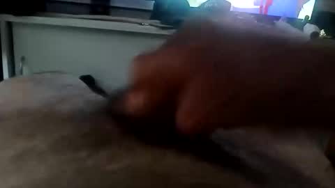 Snapshot of mace141414 chatting on 12-16-25, 07:30 MACE online show from 12-16-25, 07:30