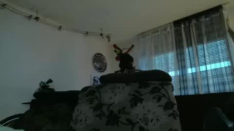 Manuel online show from 12-17-24, 03:39