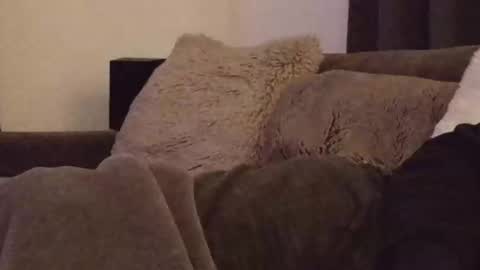 Snapshot of magic_passionitaliano chatting on 03-03-26, 06:36 magic_passionitaliano online show from 03-03-26, 06:36