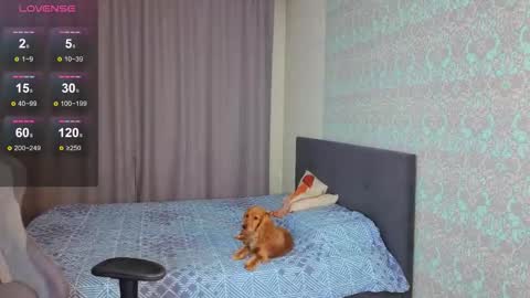 Snapshot of magic_shy chatting on 11-09-25, 01:04 Merry online show from 11-09-25, 01:04