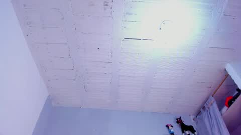 Magnus King online show from 09-17-25, 12:07