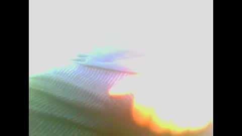 Snapshot of maioris6 chatting on 02-22-25, 08:07 maioris6 online show from 02-22-25, 08:07