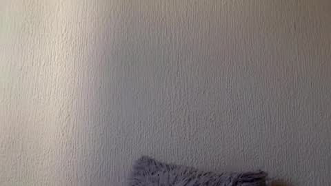 Snapshot of majo_gomezz chatting on 03-20-26, 07:41 majo_gomezz online show from 03-20-26, 07:41