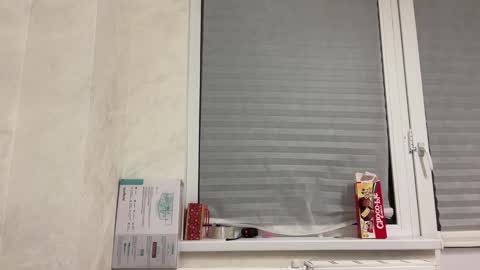 Tom and Mark 3 online show from 01-25-25, 03:09