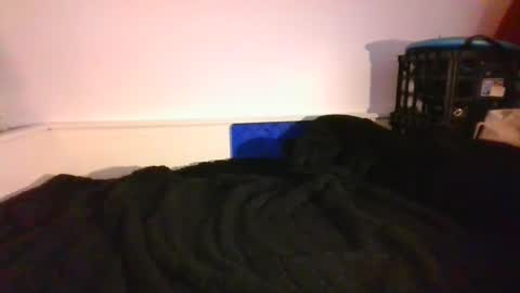 Snapshot of malebdsmslut chatting on 12-14-24, 09:56 CommandbondageNipples bondage kink submissive lovense slave wgear. modequiethvyBondage If Password goldfish online show from 12-14-24, 09:56