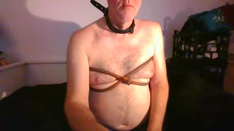 Snapshot of malebdsmslut chatting on 01-29-25, 09:12 CommandbondageNipples bondage kink submissive lovense slave wgear. modequiethvyBondage If Password goldfish online show from 01-29-25, 09:12