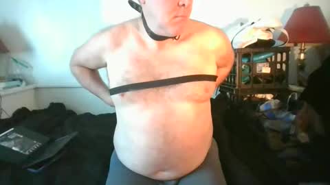 CommandbondageNipples bondage kink submissive lovense slave wgear. modequiethvyBondage If Password goldfish online show from 03-03-26, 10:59