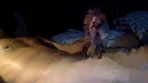 Snapshot of mandalay3 chatting on 11-09-25, 10:13 mandalay3 online show from 11-09-25, 10:13