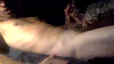 Snapshot of mandalay3 chatting on 12-16-25, 05:12 mandalay3 online show from 12-16-25, 05:12