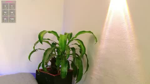 Mandy Val online show from 07-18-26, 08:34