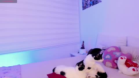   online show from 02-02-26, 10:08