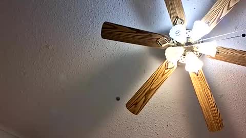 Jan and Man online show from 02-01-26, 05:17