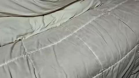 Dickinabox online show from 11-17-25, 08:42